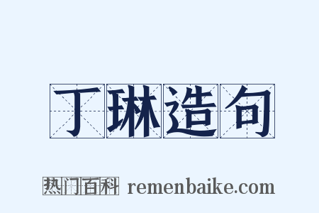 丁琳造句是什么意思的图片